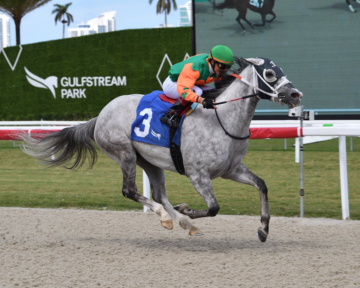 Thanks @JaramilloJockey for getting our gal #Sonicus across  the finish line. You know her well-3 wins in the irons @GulfstreamPark @fawkesracinginc