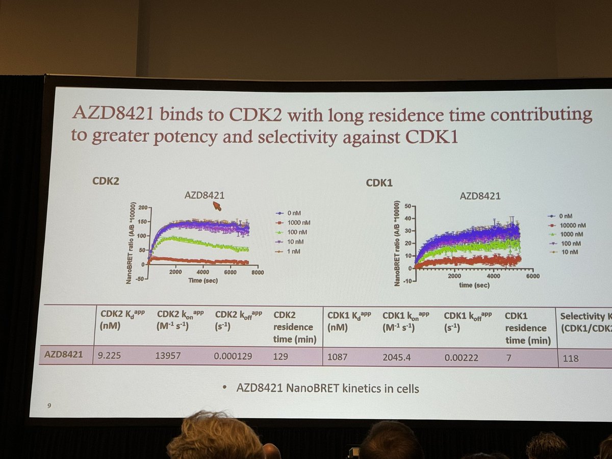 HartungIngo's tweet photo. The return of chirality continues at #AACR24: Introducing the exquisitely selective #CDK2 inhibitor AZD8421. Clever use of gatekeeper interactions, sp3-rich extended hinge group &amp; chiral amino alcohol side chain to secure selectivity, permeability &amp; solubility. https://t.co/6NSWOAJ81G