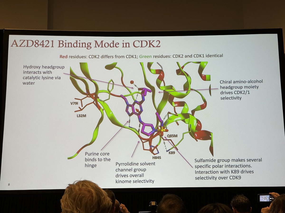 HartungIngo's tweet photo. The return of chirality continues at #AACR24: Introducing the exquisitely selective #CDK2 inhibitor AZD8421. Clever use of gatekeeper interactions, sp3-rich extended hinge group &amp; chiral amino alcohol side chain to secure selectivity, permeability &amp; solubility. https://t.co/6NSWOAJ81G