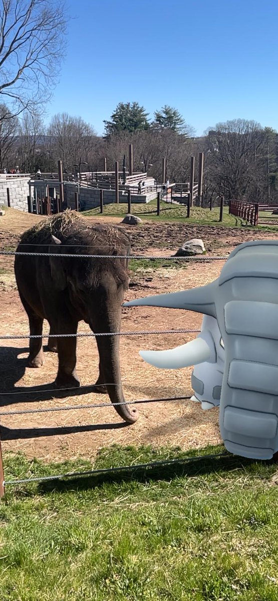 Went to the zoo today and met some friends