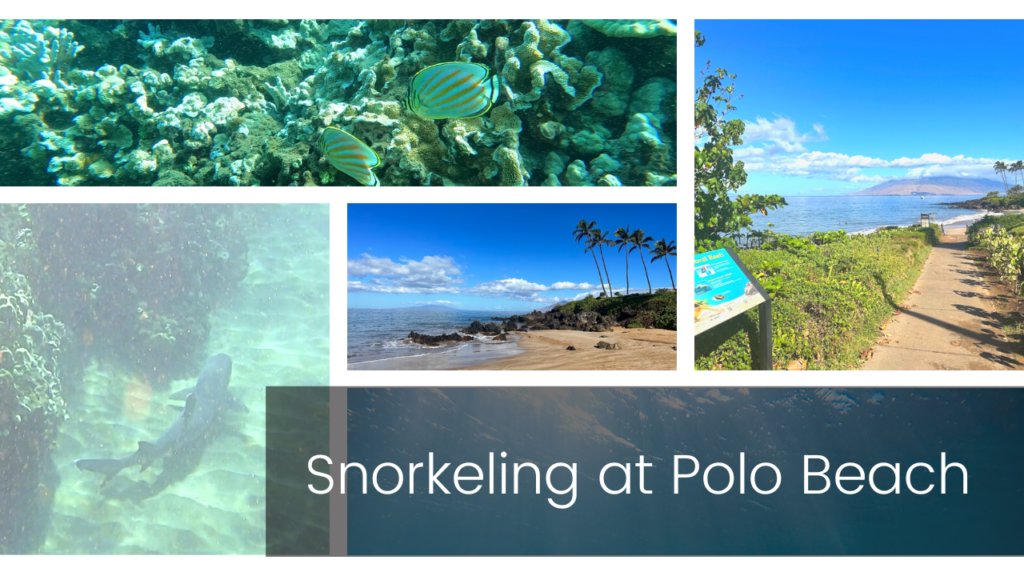 Snorkeling at Polo Beach bossfrog.com/snorkeling-at-… via @Bossfroghawaii #maui #polobeach