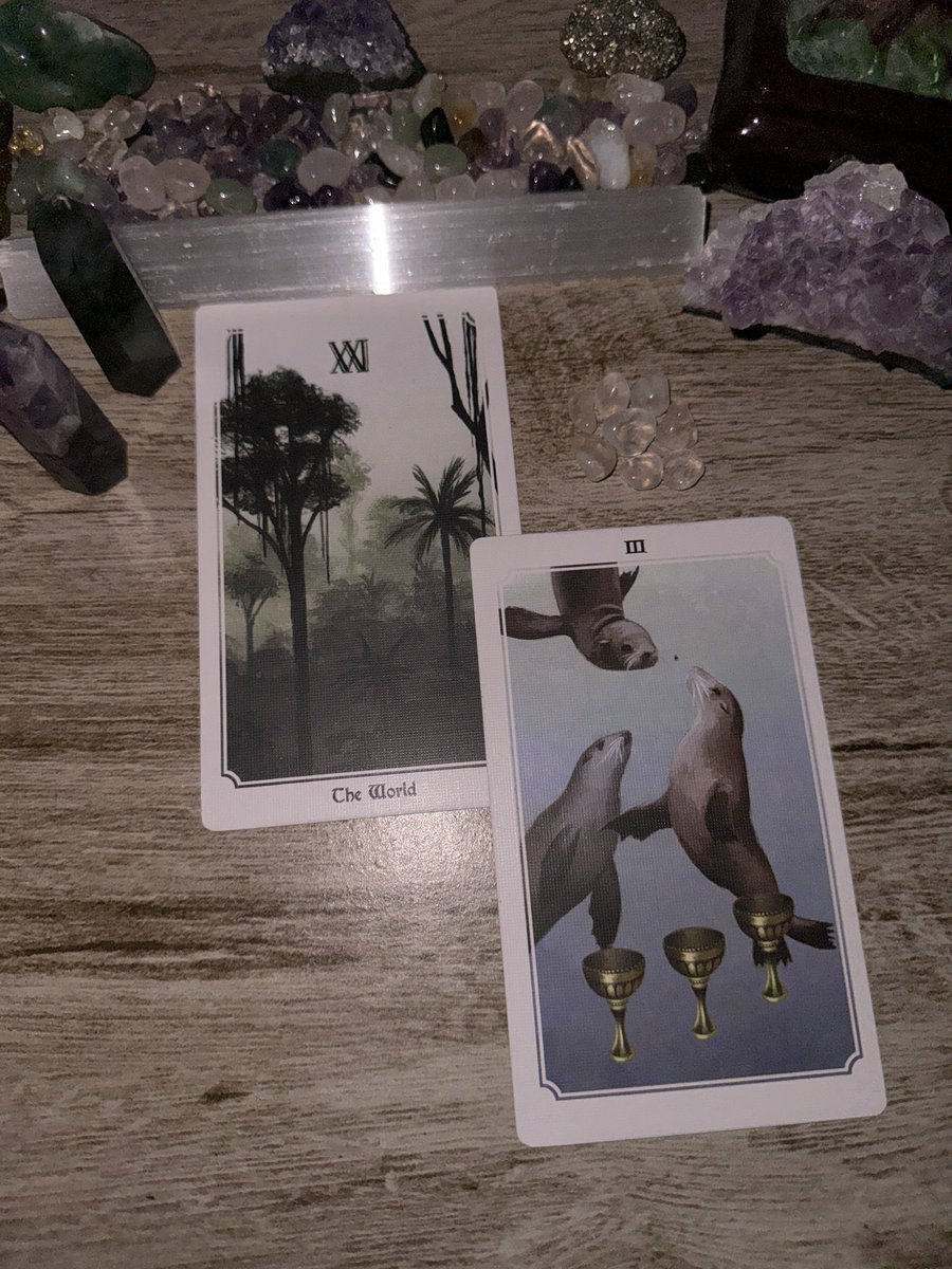 raftarot's tweet photo. 𓂃𓈒𓏸 escorpião • ♏︎ 𓏸𓈒𓂃 

o mundo ao seu redor está se esforçando para te oferecer as melhores coisas que poderiam acontecer com alguém.

relações tranquilas, ciclos profissionais estáveis; tudo se encaminhando de uma forma próspera e suave. entenda isso como um presente do universo para você, que tanto já se esforçou, tanto já aguentou, e por tanto já passou...

uma hora precisa chegar o momento de colher os frutos, né? então, esse momento felizmente está chegando. perceba os ciclos ao seu redor se tornando cada vez mais tranquilos, é basicamente tudo o que você tem manifestado.