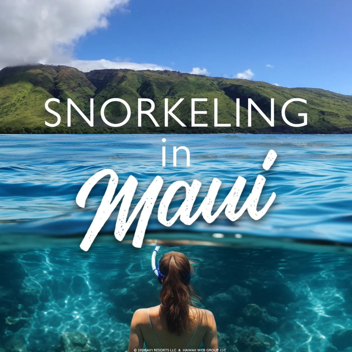 Snorkeling in Maui: A Comprehensive Guide aliiresorts.com/blog/snorkelin… Snorkeling is one of the most popular things to do in Maui. No surprise there! Maui is home to some of the best snorkeling in the world.