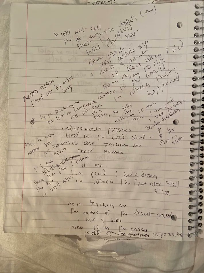 'I’m actually very hopeful. I know most of the people who read my poems think I’m not. I mean, I have a very tragic vision of human life, but I’m very optimistic in the short term.' Louise Glück on drafting the poem, 'Song' vulture.com/article/how-to…