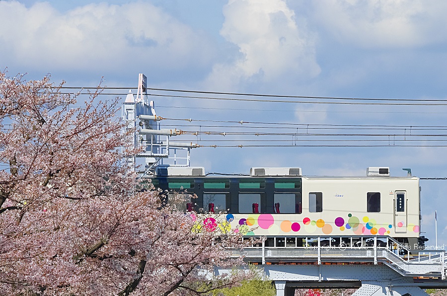 東武6050系改634型（サクラトレイン）
2024.4.7 昨日までの運転でした
浅草は凄い人出でした
#東武鉄道 #6050系 #634型 #サクラトレイン #スカイツリートレイン #スカイツリー #浅草 #隅田川 #撮り鉄