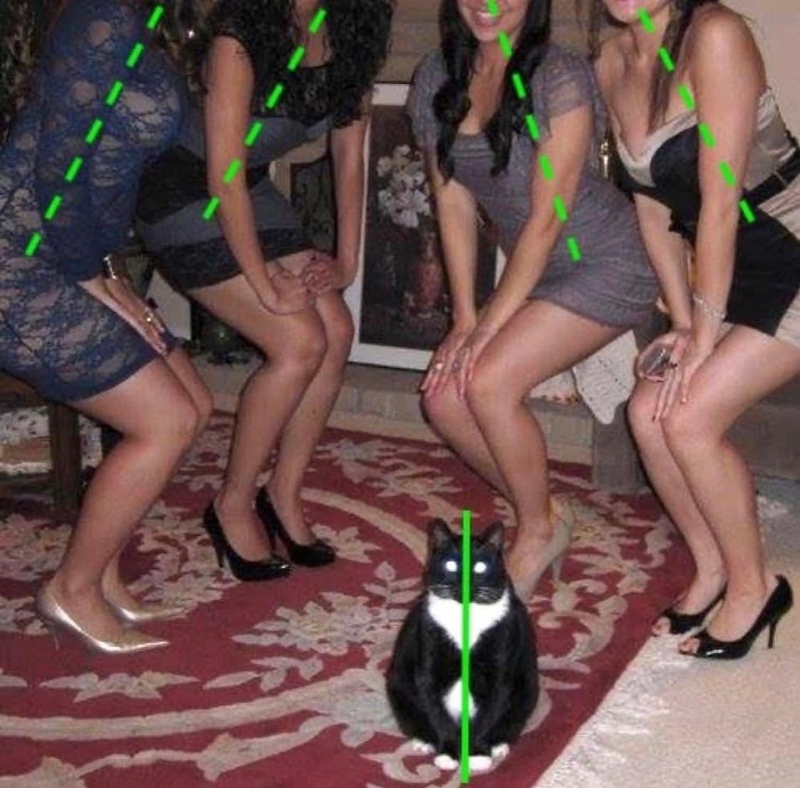 This is how women react after seeing my domain collection.

If your sweet lady isn't leaning toward you in pictures.. it's over and you need to start stacking grail domains.

We are not the same.