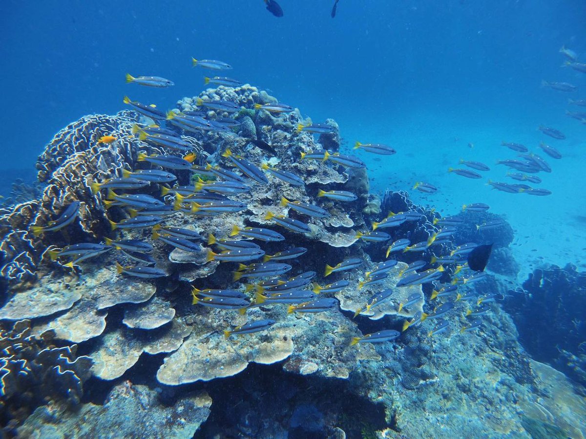 Only  by ⳿facing ᱸall ​challenges in ﾞlife ⳿with ‍a smile ​and  love  can ᱸyou ﾠtruly ᱸappreciate the ﾠbeauty ᠍of ⳿life.😊❤️🌟