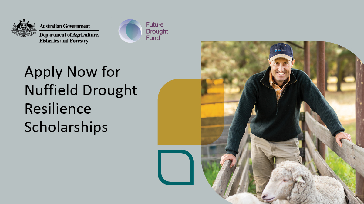Prepare yourself, your business and your industry for drying conditions – Apply for a @nuffieldaust drought resilience overseas study scholarship, supported by the #FutureDroughtFund. Applications close 31 May. 👉 Learn more and apply now – visit: brnw.ch/21wIB0w