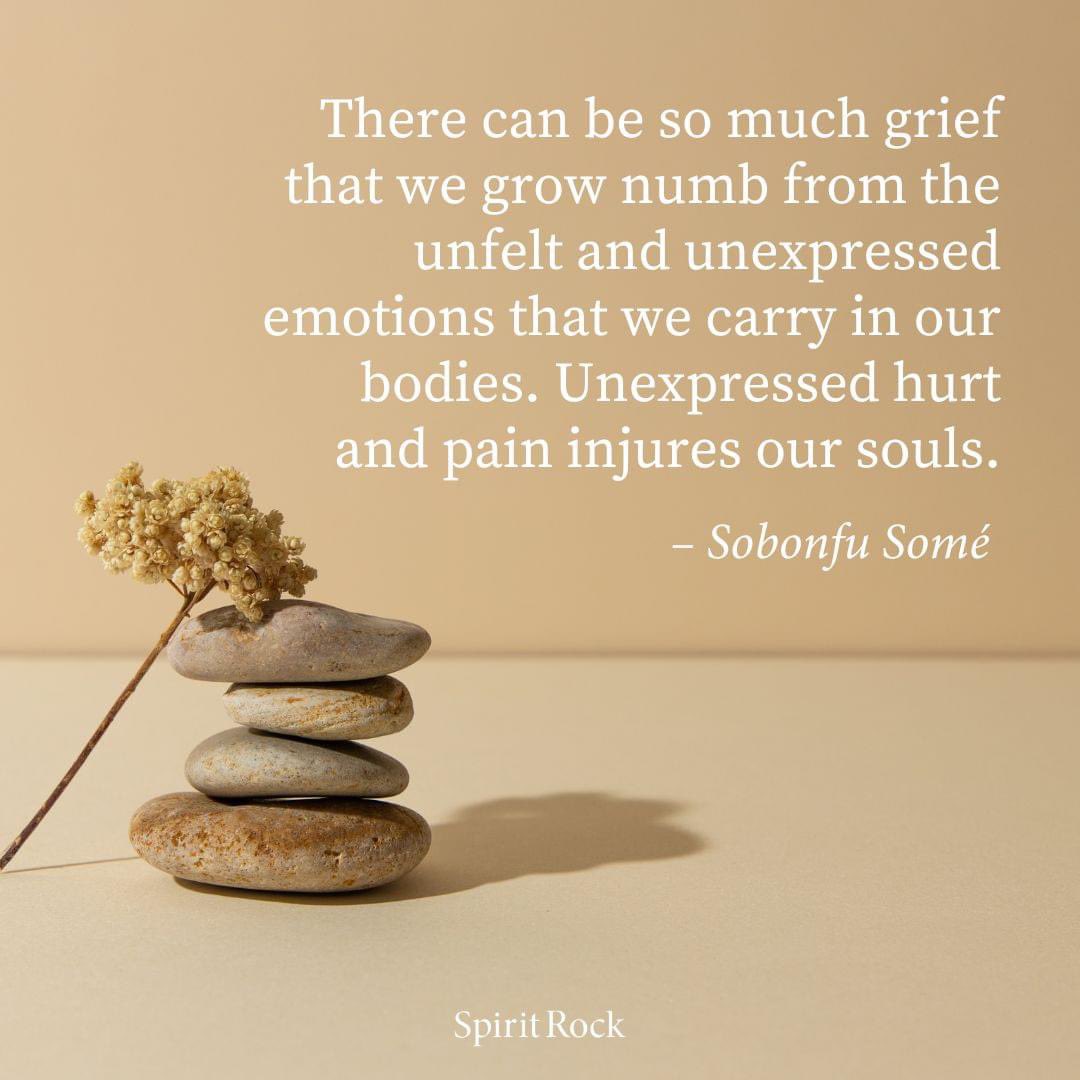During 'BIPOC Grief: Naming the Unnameable' (online 4/21) with Mushim Ikeda & Damali Robertson, we’ll explore the many faces of grief & loss. How do we learn to be with, even embrace, #grief without either bypassing or being overwhelmed by it? go.spiritrock.org/SR042124