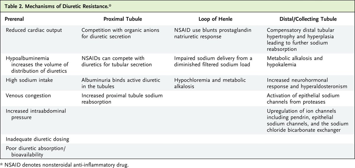 nephrotopo tweet picture