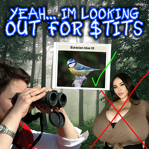 BlueTitsBase's tweet photo. The $TITS community is constantly on the lookout for great pairs of $TITS. 

However we must make it clear, that we are disciplined birdwatchers ONLY interested in the Tit family of birds, and nothing else that the project ticker implies. 

Thanks

- Head Birdwatcher https://t.co/ScCtwoz5aS