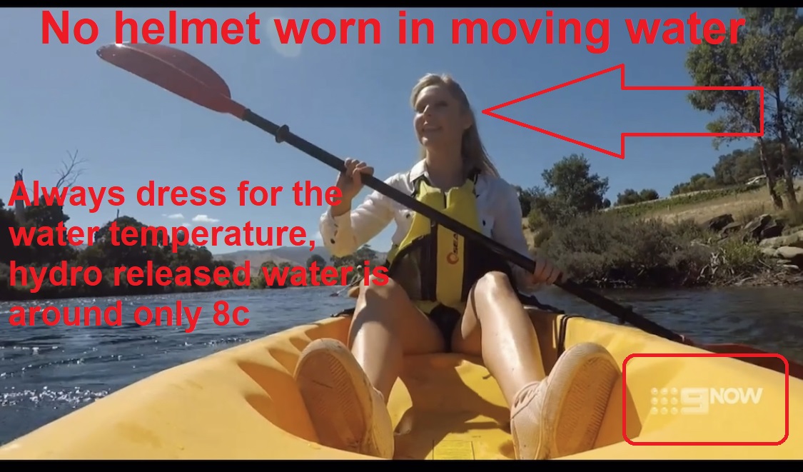 Aardvark Adventures tweet media