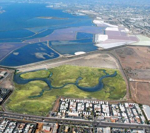 Wetland Mitigation Bank. 💰💰💰

The Port of San Diego has proposed to construct 76.5 acres of coastal wetland habitat.

Community benefits, economic benefits, nature benefits. ✔️✔️✔️
portofsandiego.org/projects/wetla…