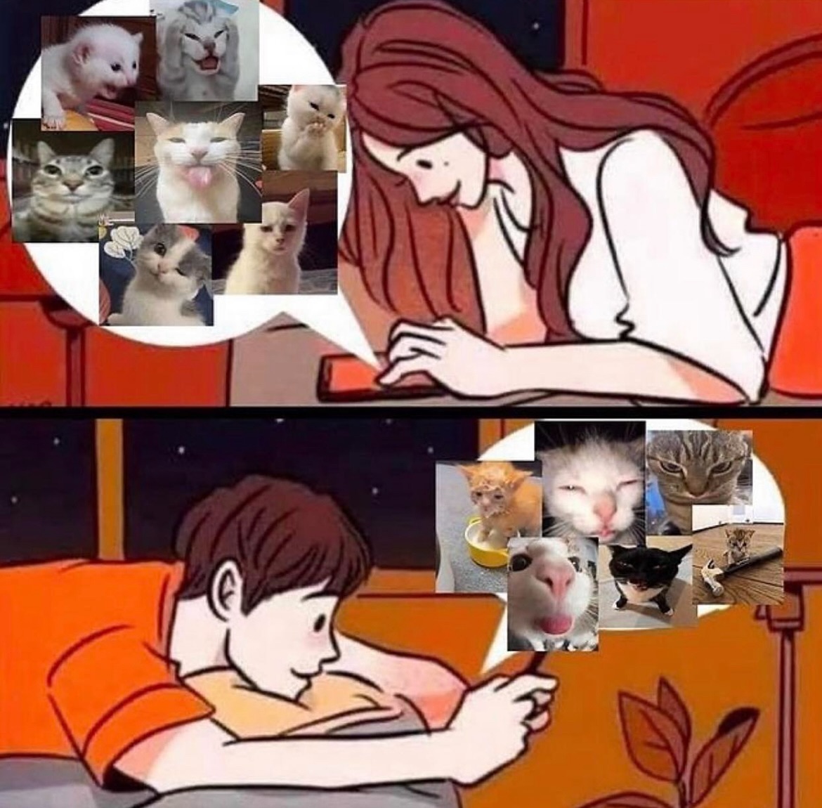 PunchingCat's tweet image. 