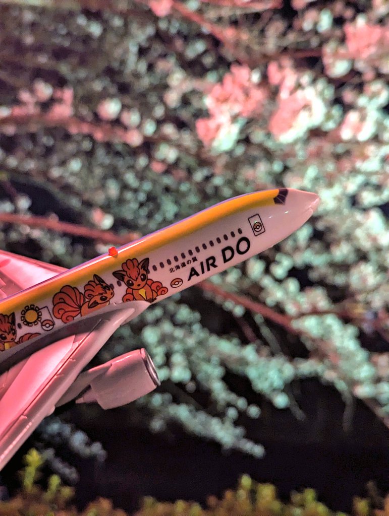 夜桜をバックに飛行中✈
#AIRDO
#ロコンジェット