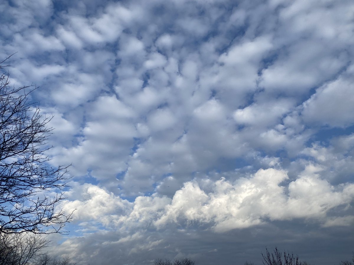 #BlueSkies