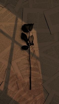 Asslam o aliakum 🌹
Have a nice day 😍