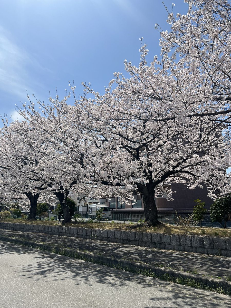 昨日、出勤途中の 一コマ🌸 景気が悪すぎて ココロが汚れてるわ😭