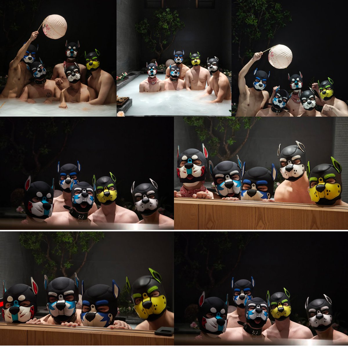 Pup_Long's tweet photo. 贴木头，立立，小八，豆豆，龙忍，肉肉，十戒，杨博士，八五，咕噜，社长（@BavM_To @MS_ArkLi @CDshansz @beans2_Oliver @RD0g8 ）好多人没找到推特 https://t.co/uGCaQbm4LJ