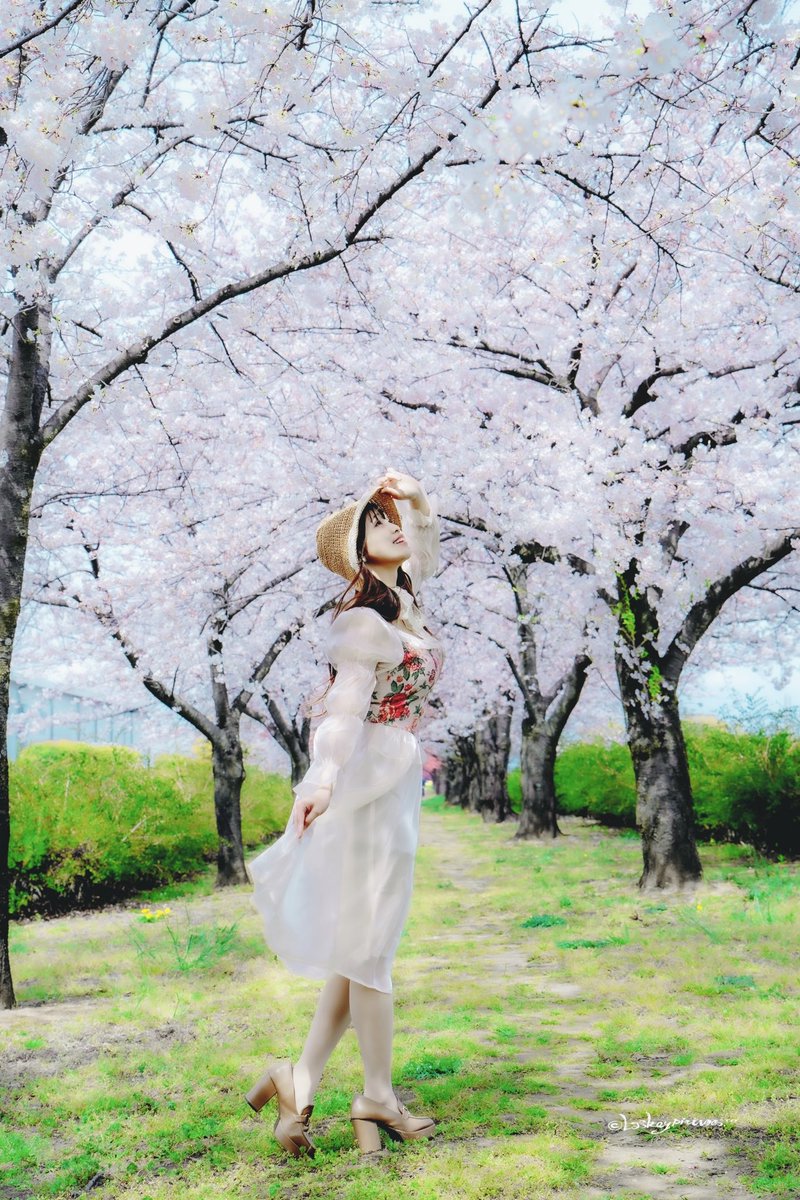 #歌手　#モデル　LUNAちゃん @r8r1r1r #桜🌸　のトンネル お気に入りスポット、4シーズン目 🤗 4月10日から Lensbaby写真展　 4月13、14日は 今Dokiポートレート撮影講座　 at kenkoTokina