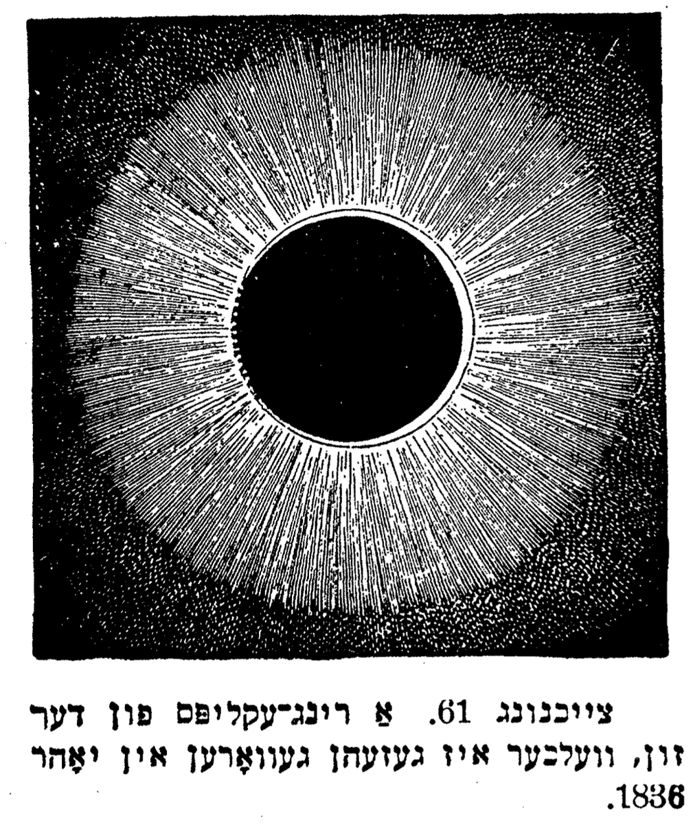 יעיל־ייִדיש tweet media