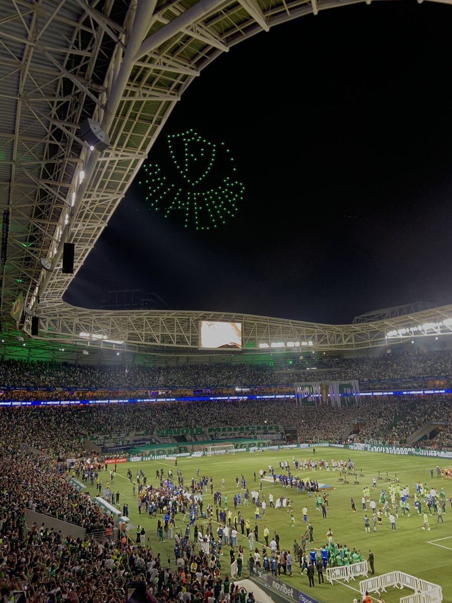 rodrigoosep's tweet photo. nos somos a SOCIEDADE ESPORTIVA PALMEIRAS! https://t.co/znHet39yhl