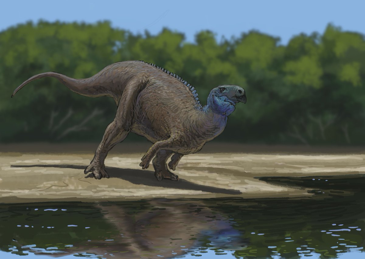 Joschua Knüppe tweet media