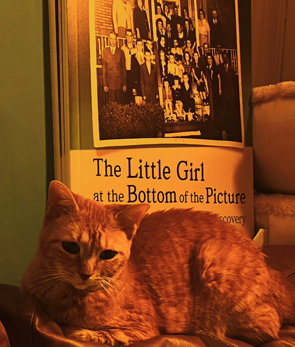 Jeremy White tweet media