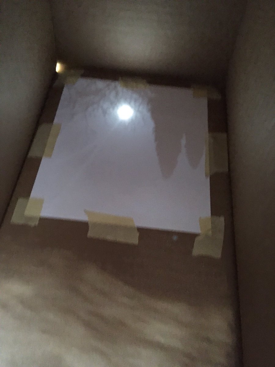 Brian Birmingham💙 tweet media