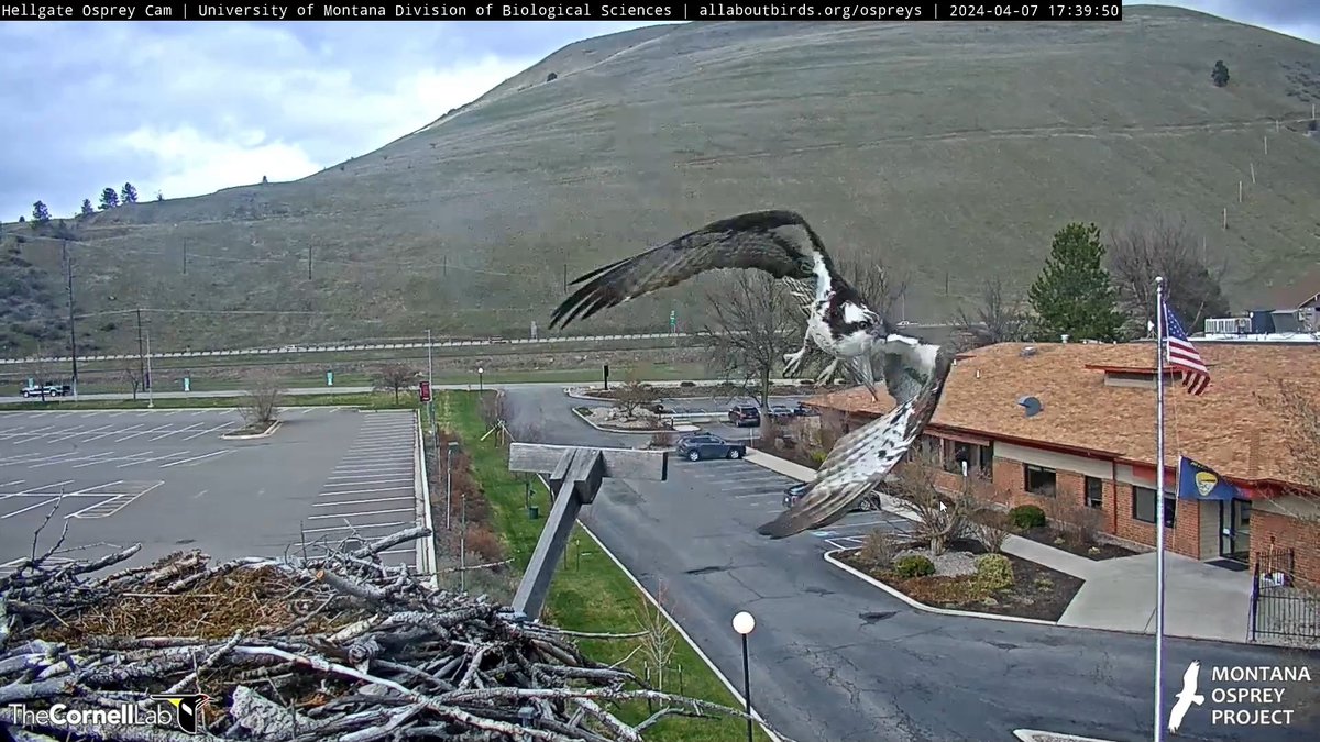 @HellgateOsprey Be back soon Iris . Bring huge fish to the OP  5:39 pm April 7