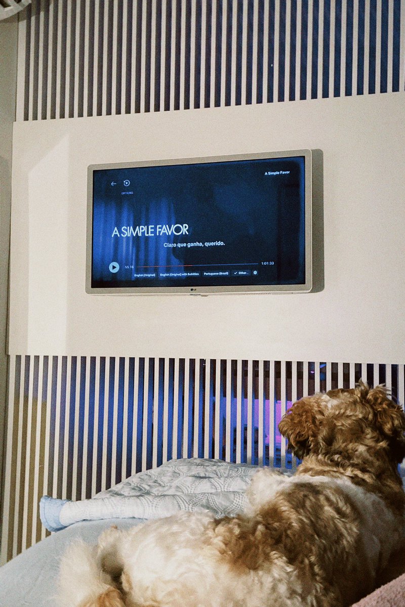 bubukrum's tweet image. Nosso domingo em família 💖✨