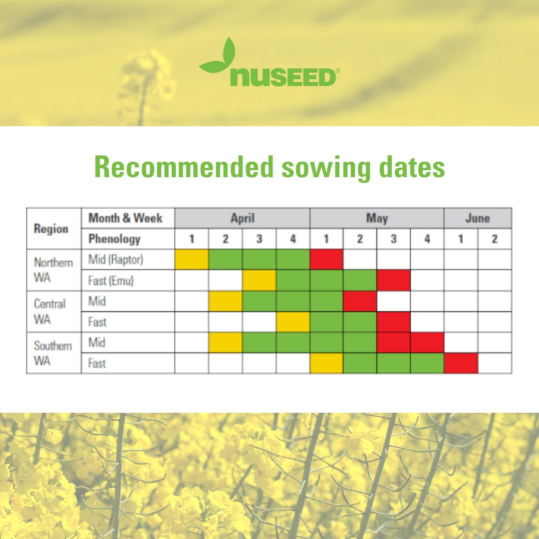 NufarmSeedsAU's tweet image. 📅Find the ideal time to sow your #canola.

Check out our time of sowing techsheets to help you decide the ideal time to sow your HyTTec Velocity &amp;amp; Nuseed Emu TF canola seed 🌱

Make plans for planting 👉 bit.ly/3TjnMap

#nuseedaustralia #valuebeyondyield