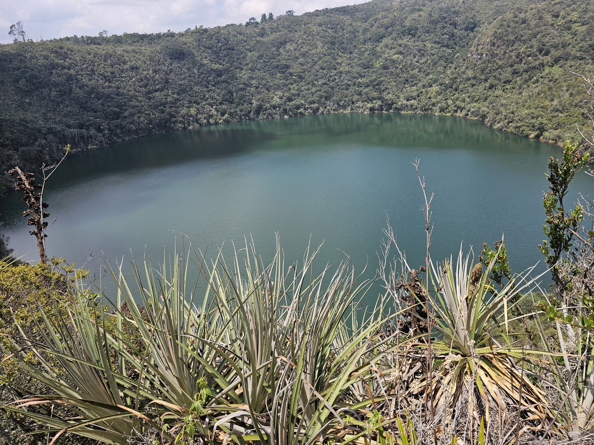 Lake Guatavita is the sacred lake of Muisca with which the legend of El Dorado is associated. Whether anyone found gold or not, we don't know, but it's definitely an emerald hidden in nature. #NaturePhotography #Colombia #traveler