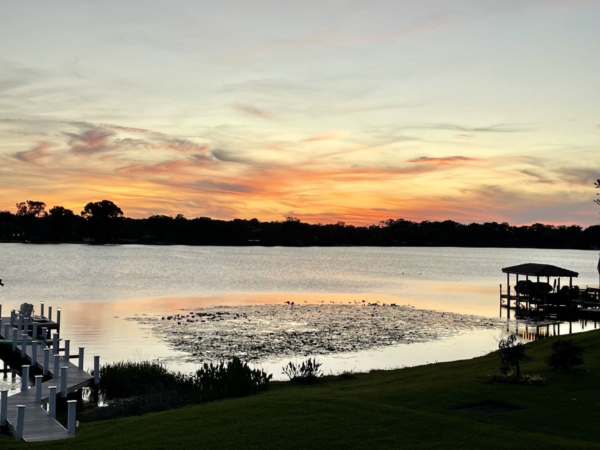Lily pad sunset. #LakeLiving #FloridaLakes