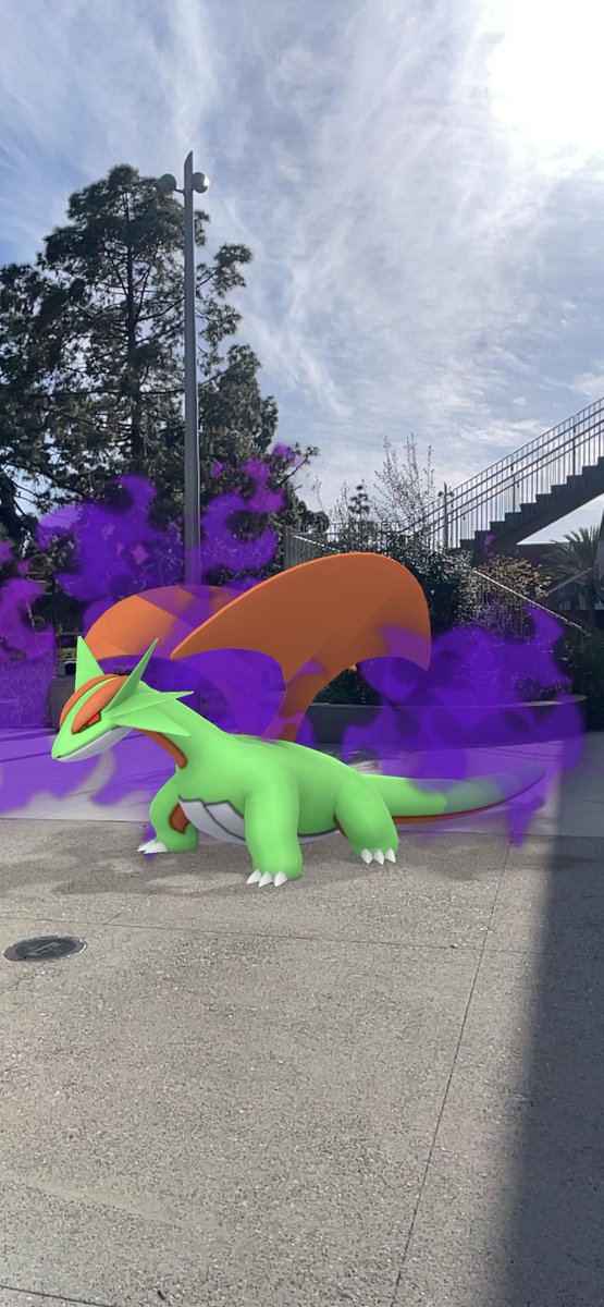 fressure's tweet image. Got a shundo✨ today! 
+ evolved the shadow. #pokemongo