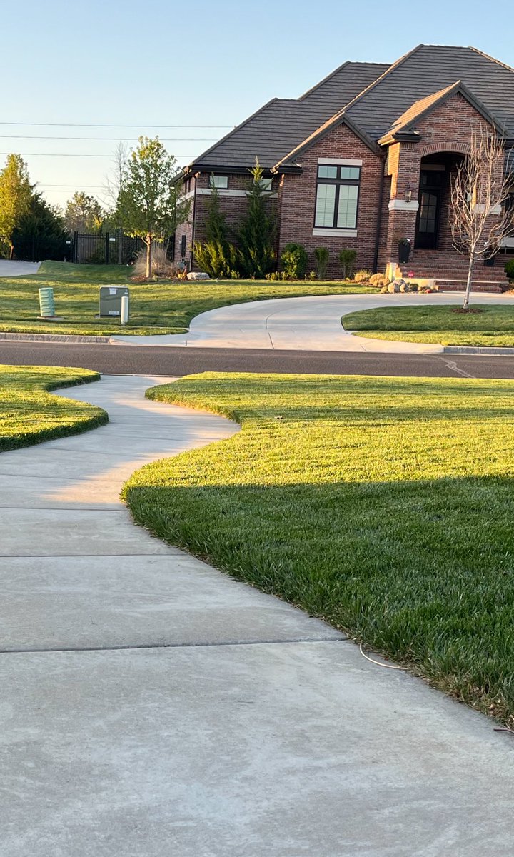 Is that a green carpet? Ah no, just a spring lawn. 😎