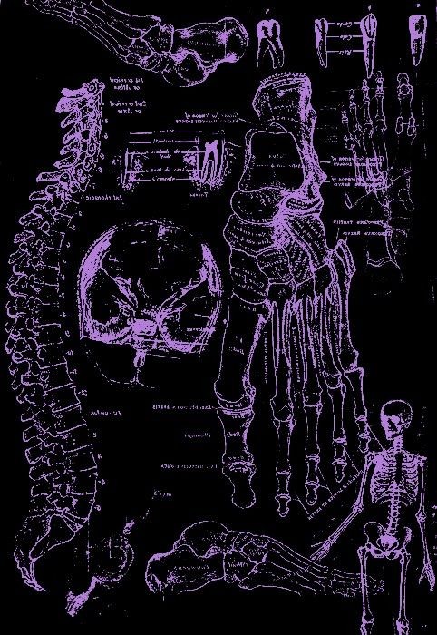 𝐇𝐔𝐌𝐀𝐍𝐈𝐓𝐘 𝐈𝐒 𝐒𝐇𝐀𝐂𝐊𝐋𝐄𝐃 tweet media