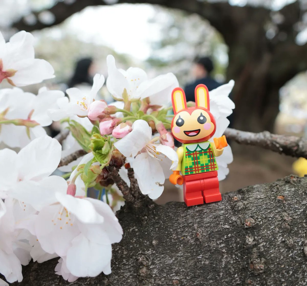 LEGO Animal Crossing Hanami @ Shinjuku Gyoen 🌸