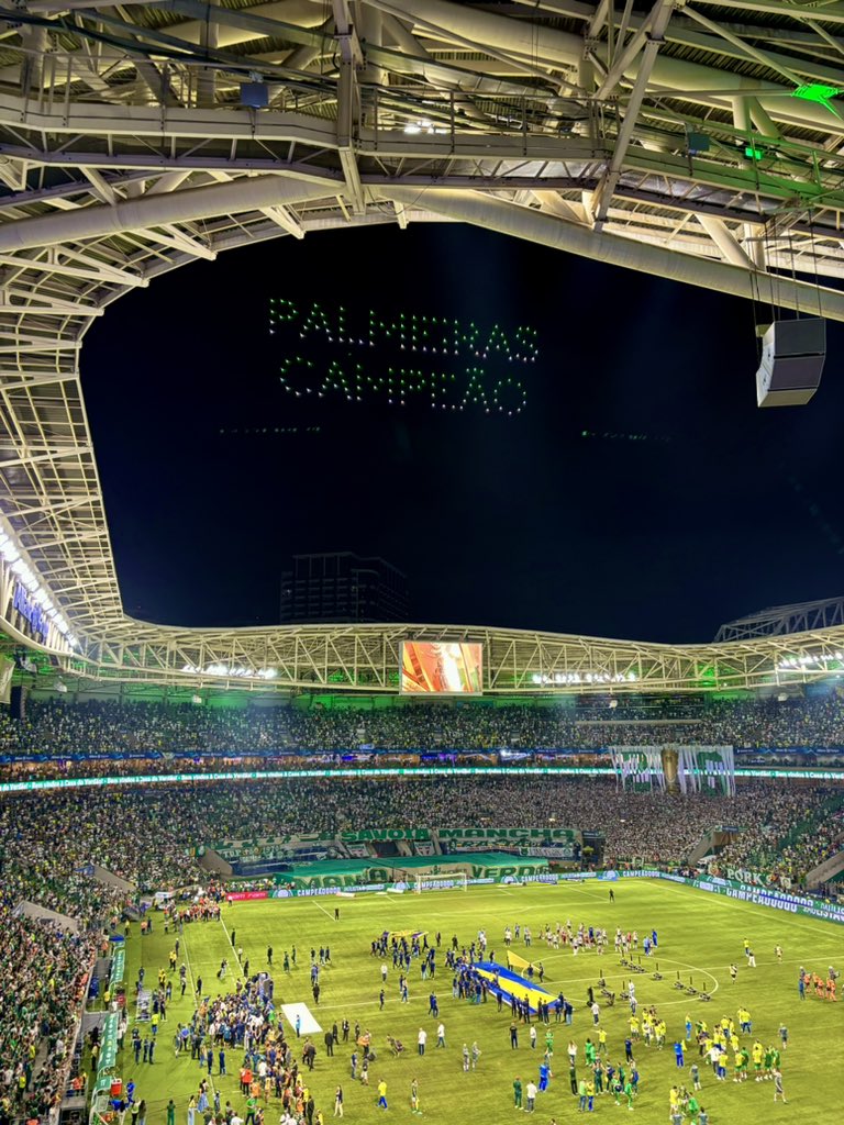 rodaimadu's tweet photo. campeão 💚 https://t.co/01ncFgvrmy