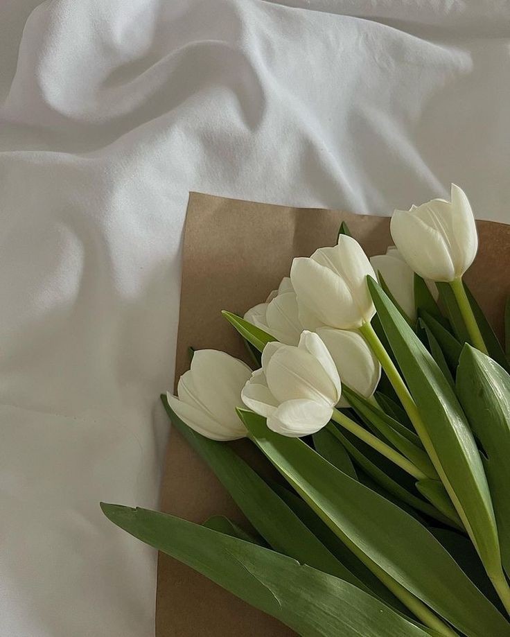 white tulips