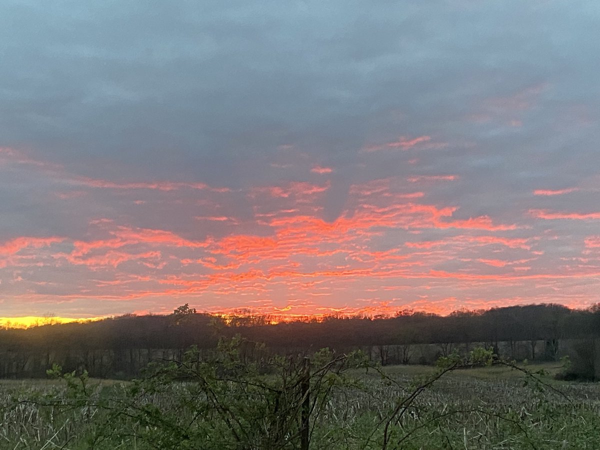 Lord__Xav's tweet photo. Stop and enjoy the pretty sunset https://t.co/8FDfZcCH5d
