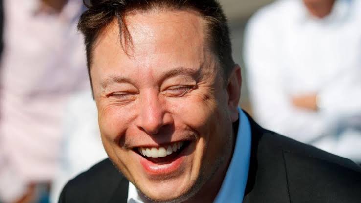 Elon Musk vendo que foi incluído no inquérito a pedido do Alexandre de Morais. Esse #stf é uma piada.