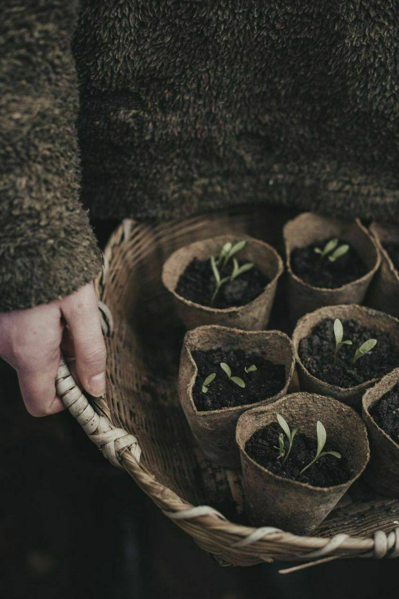 وإذا أتاك صديقُ عمرك نادمًا
عمّا جرى بالأمسِ يرجو المعذرةْ

فاغفر لهُ وانسَ الإساءةَ والأسى
واذكُر بأنّ العفوَ عند المقدرةْ

فلقد أتاك بكُل نبضٍ صادقٍ
حافظ عليهِ وصُنهُ كي لا تخسَرهْ