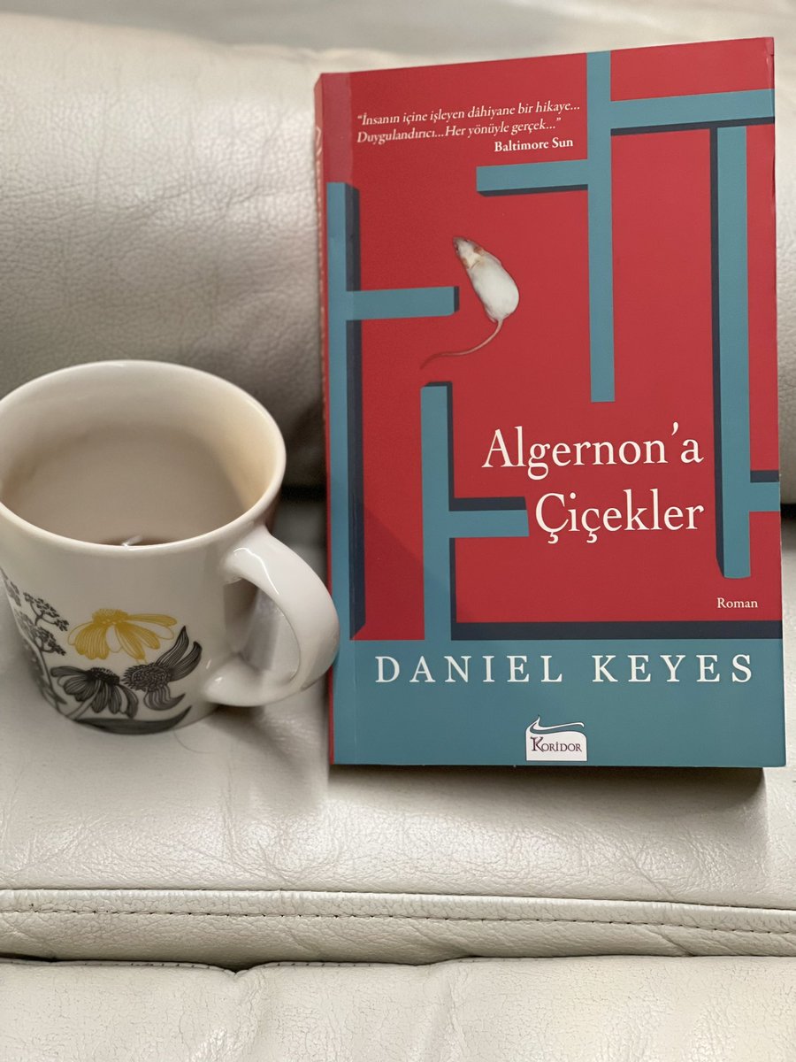 'Evet her şeyi yaptınız. 
Beni bir insan olarak görmenin dışında.'
#Algernon'açiçekleri 
#DanielKeyes
#kitapönerisi