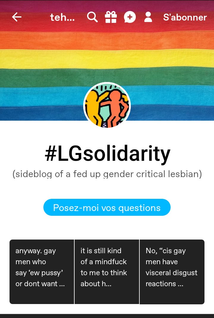 Tumblr profile of a user (we cannot see their username on the screenshot and I forgot what it was). Banner is the original pride flag and profile picture is art piece of Keith Haring. The blog is titled (#LG Solidarity. side blog of a fed up gender critical lesbian)