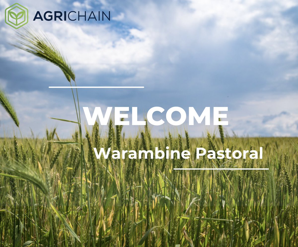 A warm welcome to Warambine Pastoral! 
Together, we're forging a path toward a more efficient and connected agricultural future. 

 #AgriChainPartnership #AgriculturalInnovation #SustainableFarming #GrowingTogether