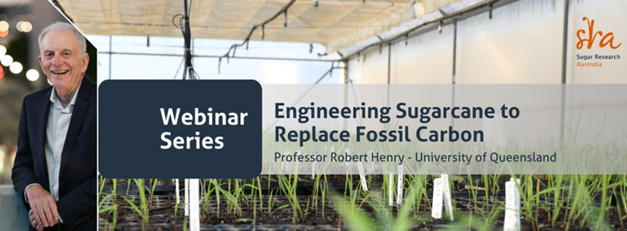 Join SRA tomorrow for a webinar featuring Prof Robert Henry as he discusses 'Engineering Sugarcane to Replace Fossil Carbon.' 🌿 Dive into the advancements in genomics and technology crucial for meeting biofuel demands in aviation. bit.ly/3U5v4AL