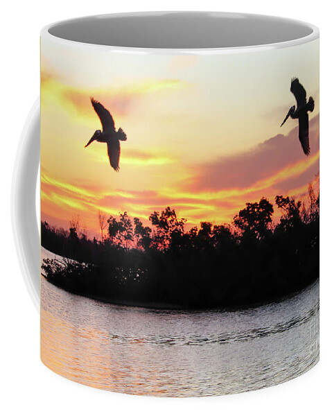 JoanneCarey64's tweet photo. A #sunrise as seen from a fishing pier overlooking estuarine waters in Placida, Florida. #brownpelicans were blessing the start of a #newday 🧡

"Pelicans Greeting a New Day" coffee #mug is avail. in my shop... https://t.co/q9w66BRGyv
#sunrisephotography #gifts #naturelovers https://t.co/Zw2AQfrokm