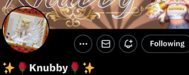 luvsaeki tweet media