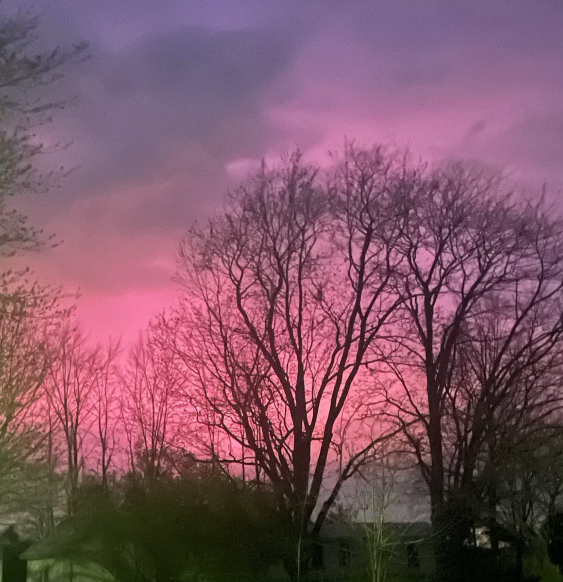 A_Little_Luney's tweet image. Our sky is pink!!! 😍😍🩷🩷

#PinkSky